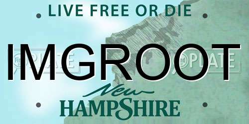 IMGROOT New Hampshire License Plate