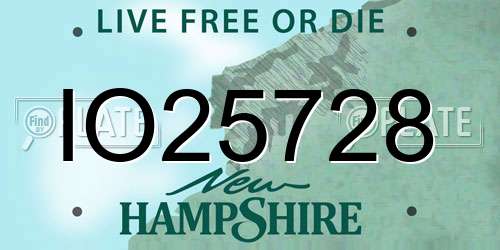 IO25728 New Hampshire License Plate