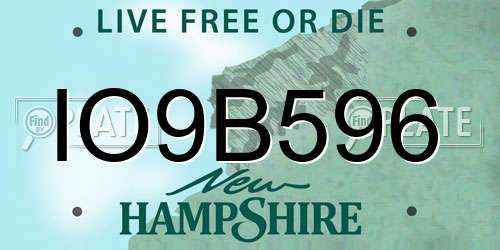 IO9B596 New Hampshire License Plate