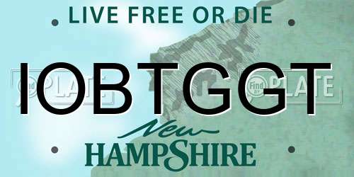 IOBTGGT New Hampshire License Plate