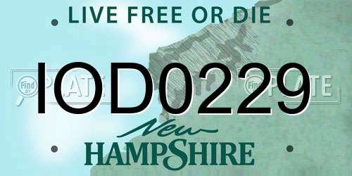 IOD0229 New Hampshire License Plate