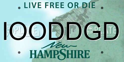 IOODDGD New Hampshire License Plate