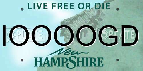 IOOOOGD New Hampshire License Plate