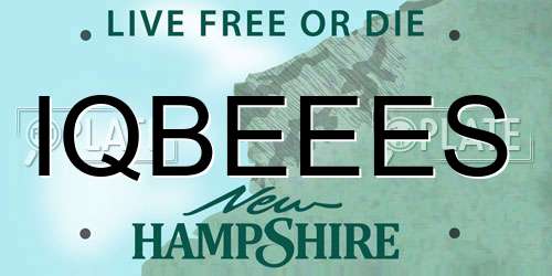 IQBEEES New Hampshire License Plate