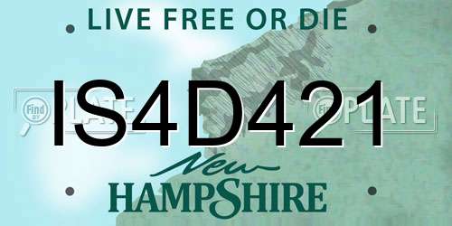 IS4D421 New Hampshire License Plate