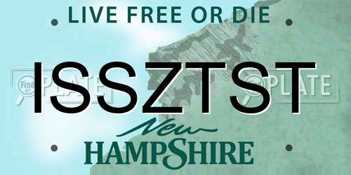 ISSZTST New Hampshire License Plate