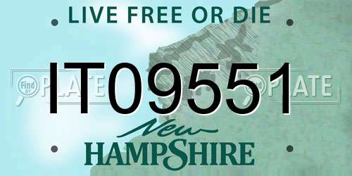 IT09551 New Hampshire License Plate