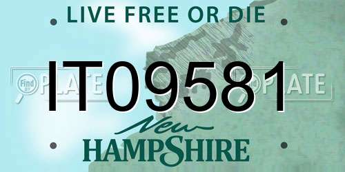 IT09581 New Hampshire License Plate