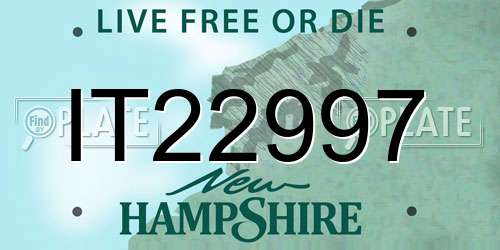IT22997 New Hampshire License Plate