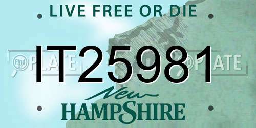 IT25981 New Hampshire License Plate