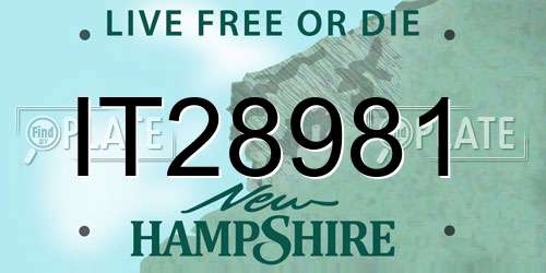 IT28981 New Hampshire License Plate