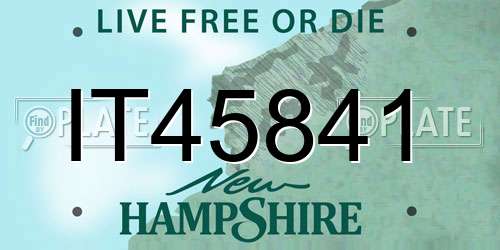 IT45841 New Hampshire License Plate