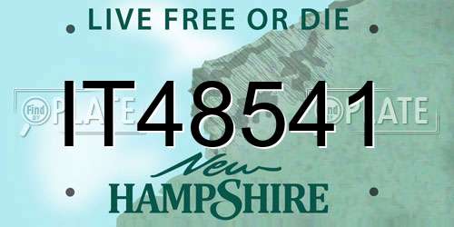 IT48541 New Hampshire License Plate