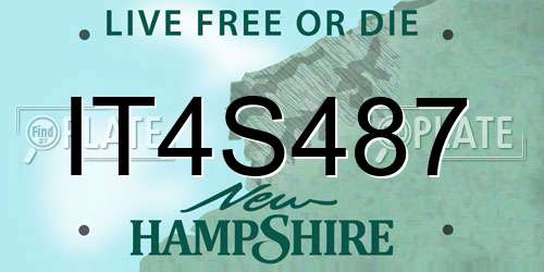 IT4S487 New Hampshire License Plate