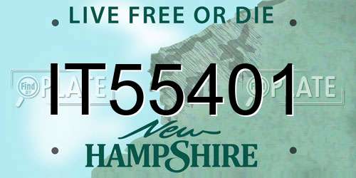 IT55401 New Hampshire License Plate