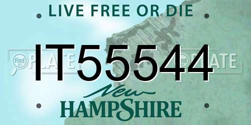 IT55544 New Hampshire License Plate