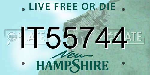 IT55744 New Hampshire License Plate