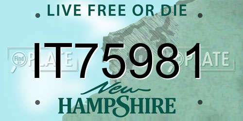 IT75981 New Hampshire License Plate