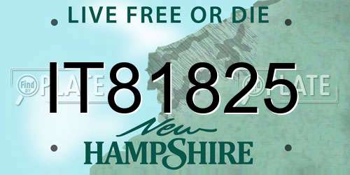 IT81825 New Hampshire License Plate