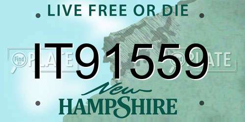 IT91559 New Hampshire License Plate