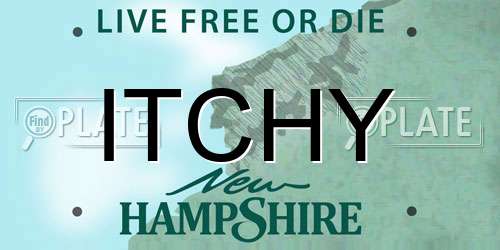 ITCHY New Hampshire License Plate