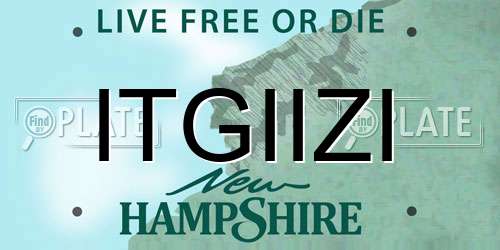 ITGIIZI New Hampshire License Plate