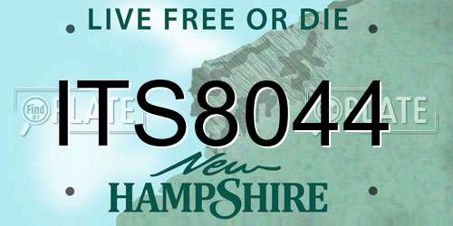 ITS8044 New Hampshire License Plate