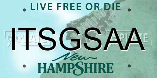 ITSGSAA New Hampshire License Plate