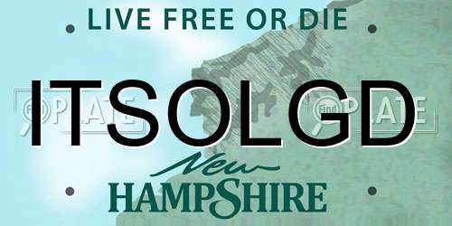 ITSOLGD New Hampshire License Plate