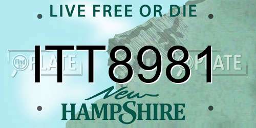 ITT8981 New Hampshire License Plate