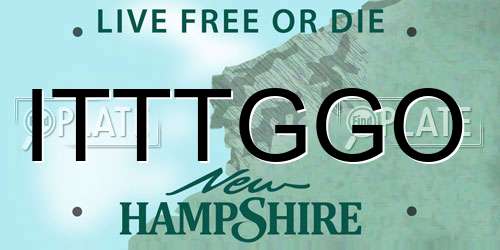 ITTTGGO New Hampshire License Plate