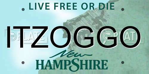 ITZOGGO New Hampshire License Plate