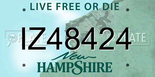 IZ48424 New Hampshire License Plate