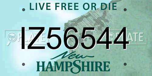 IZ56544 New Hampshire License Plate