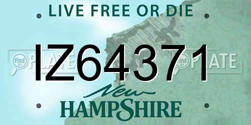 IZ64371 New Hampshire License Plate