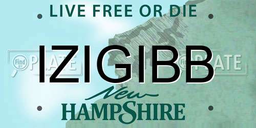 IZIGIBB New Hampshire License Plate