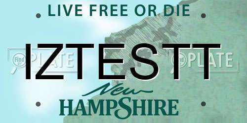 IZTESTT New Hampshire License Plate
