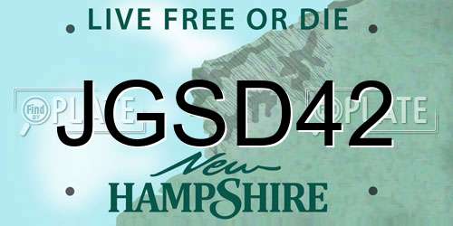 JGSD42 New Hampshire License Plate