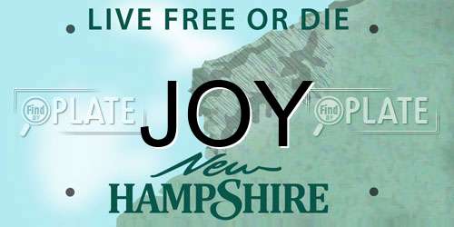 JOY New Hampshire License Plate