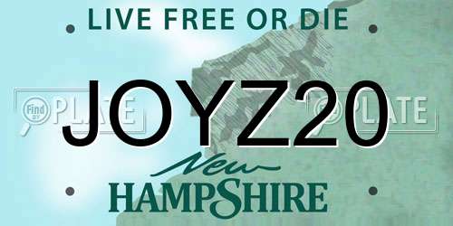 JOYZ20 New Hampshire License Plate