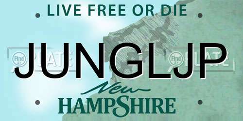 JUNGLJP New Hampshire License Plate