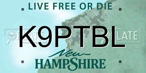 K9PTBL New Hampshire License Plate