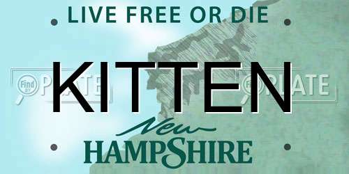 KITTEN New Hampshire License Plate