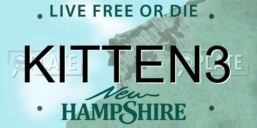 KITTEN3 New Hampshire License Plate