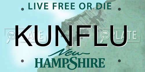 KUNFLU New Hampshire License Plate