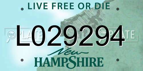 L029294 New Hampshire License Plate