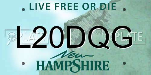 L20DQG New Hampshire License Plate
