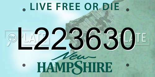 L223630 New Hampshire License Plate