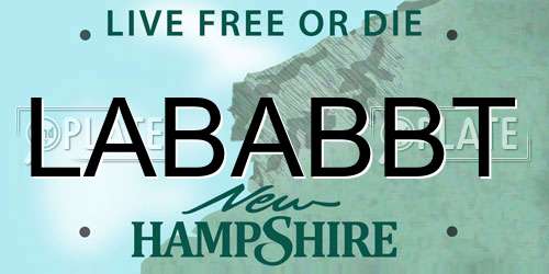 LABABBT New Hampshire License Plate