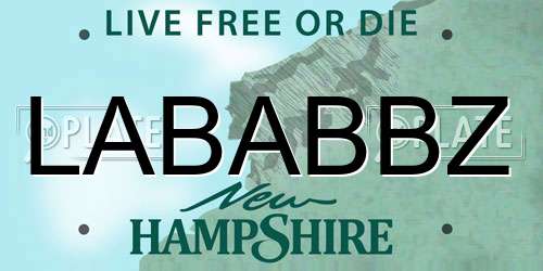 LABABBZ New Hampshire License Plate